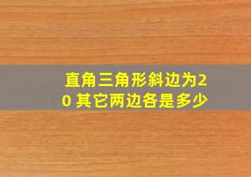 直角三角形斜边为20 其它两边各是多少